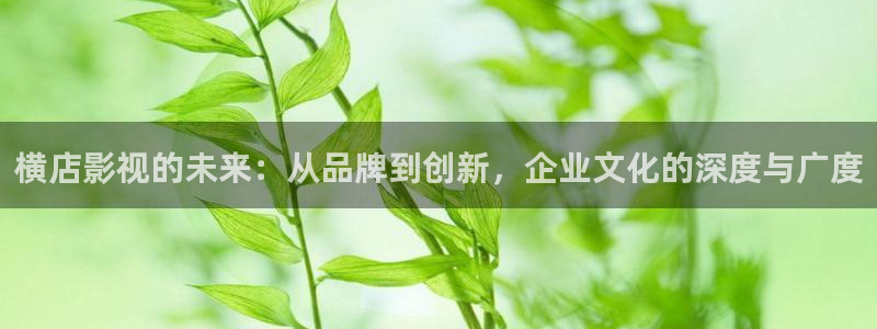 798电视剧免费播放在线观看