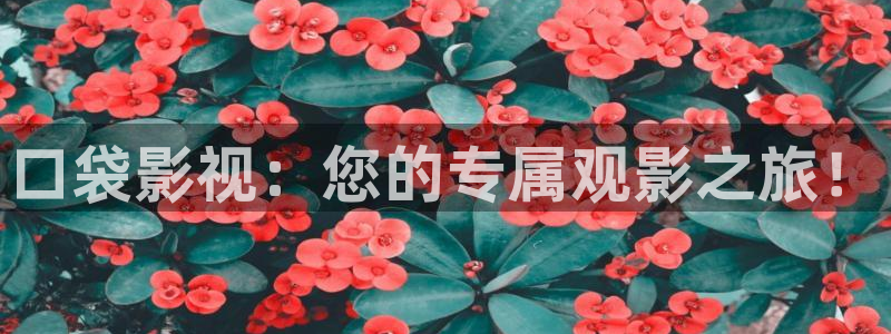 请回答1988在线观看免费观看西瓜