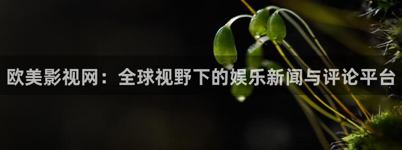 电视剧请回答1988全集在线观看免费